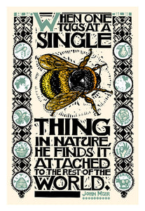 A Single Thing Greeting Card